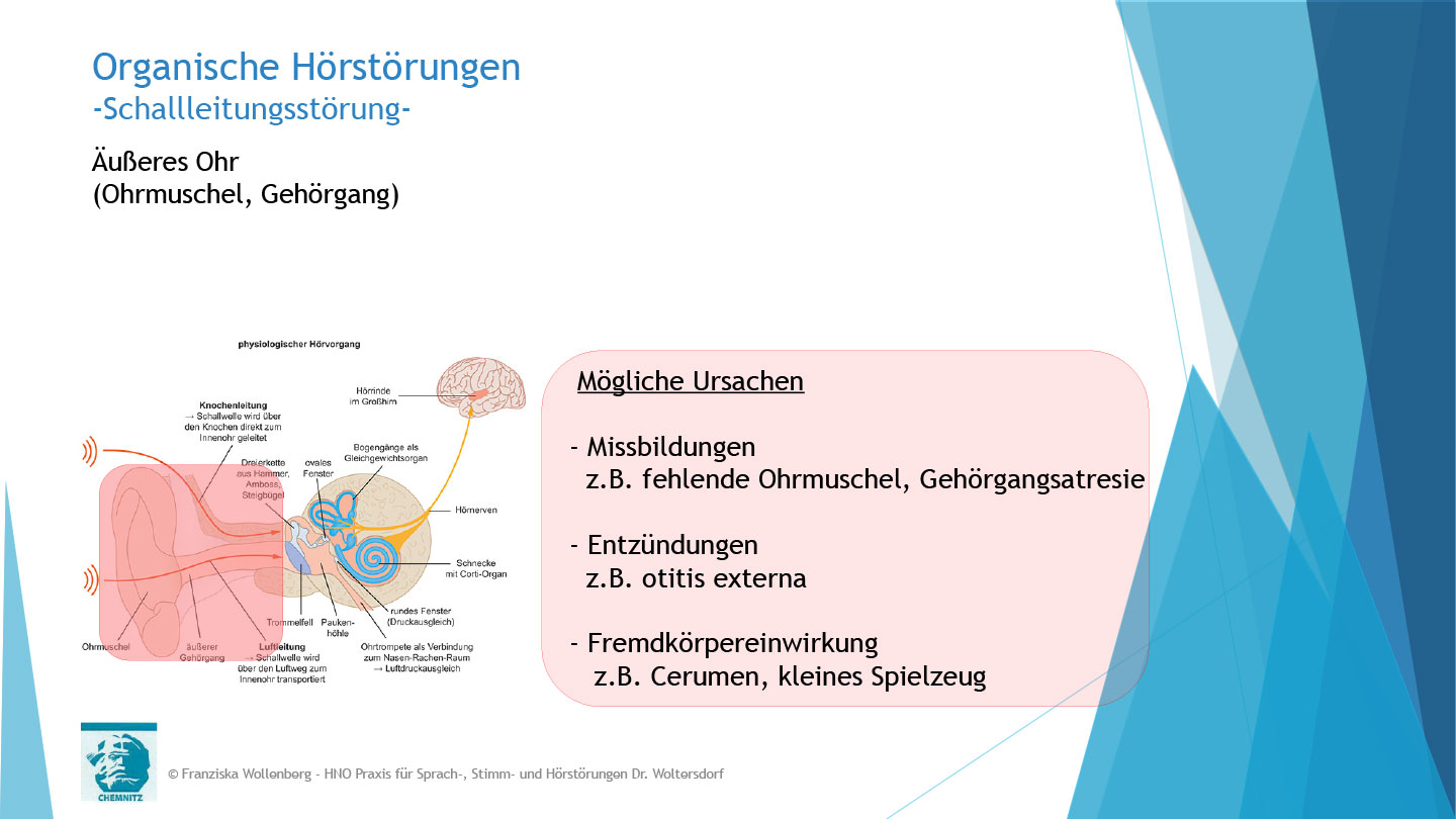Das Hören . AVWS-Fachvortrag . Franziska Wollenberg