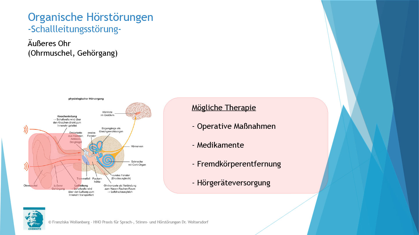 Das Hören . AVWS-Fachvortrag . Franziska Wollenberg