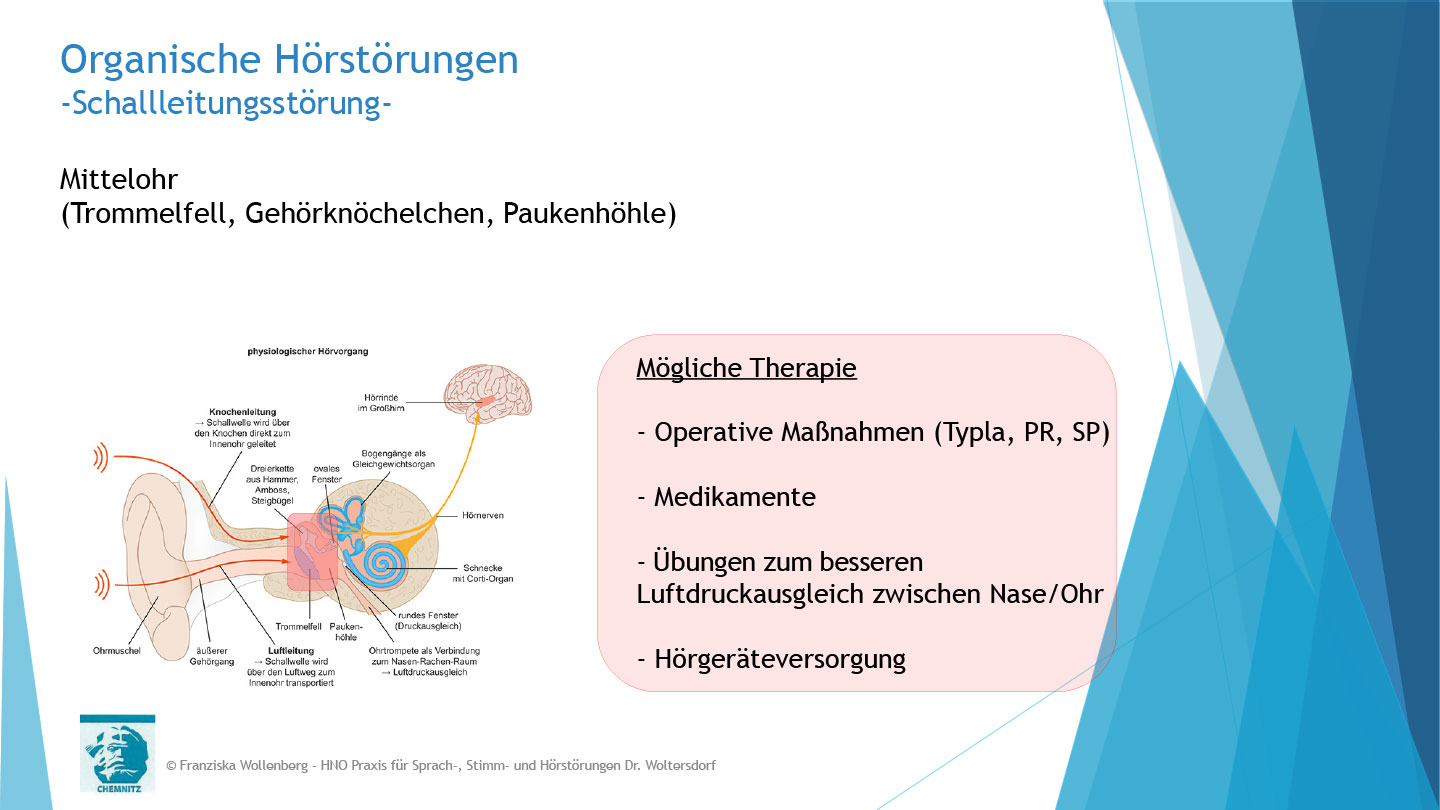 Das Hören . AVWS-Fachvortrag . Franziska Wollenberg