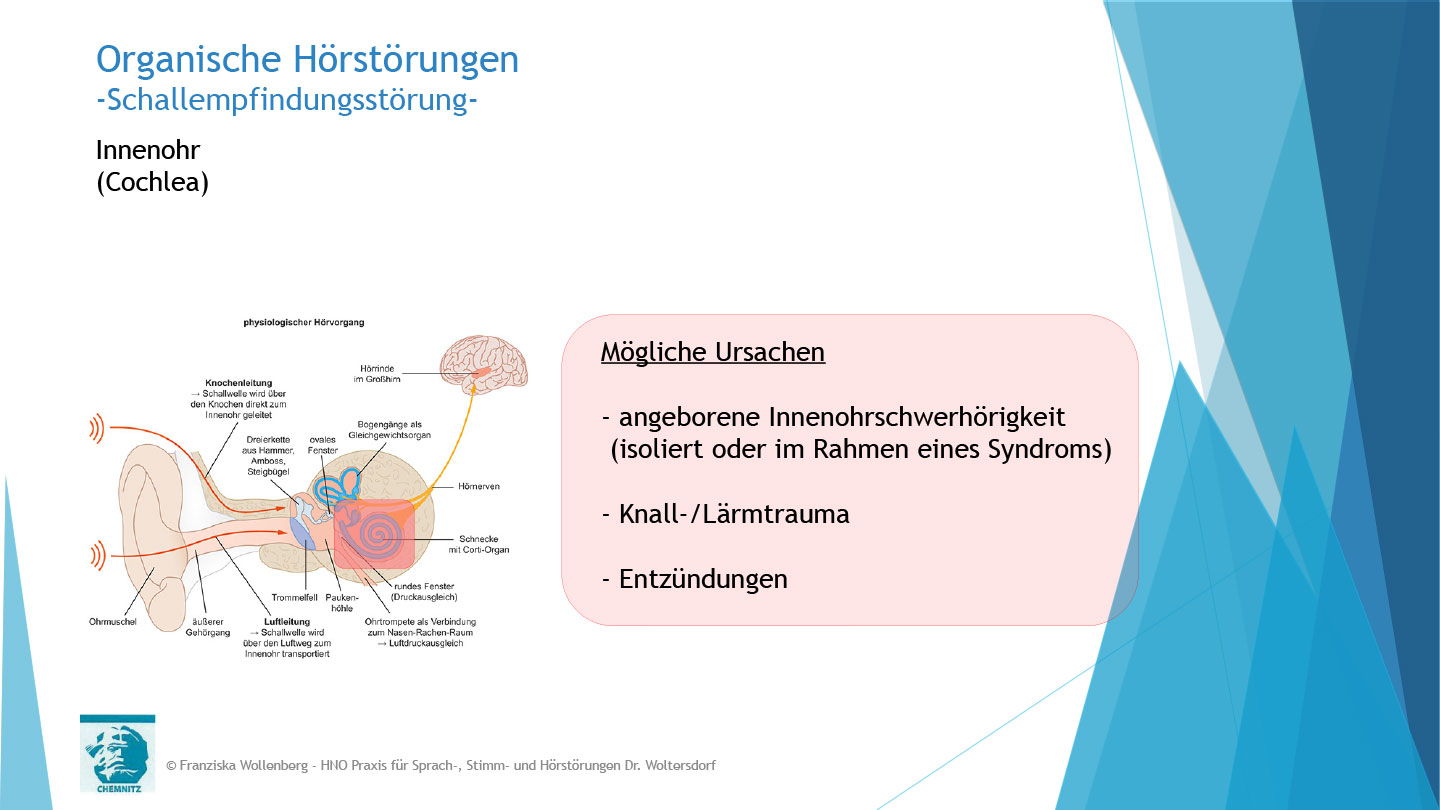 Das Hören . AVWS-Fachvortrag . Franziska Wollenberg
