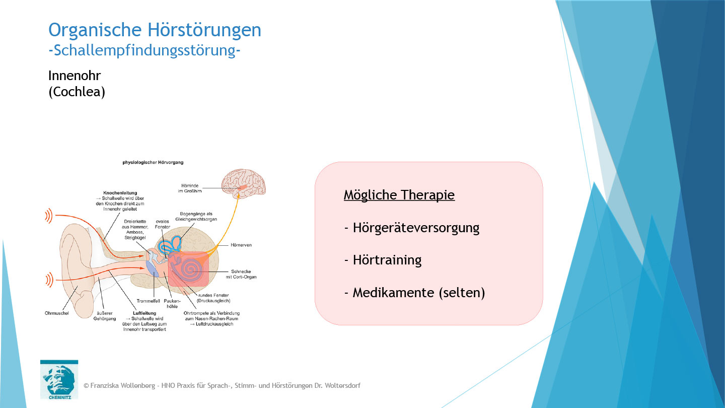 Das Hören . AVWS-Fachvortrag . Franziska Wollenberg
