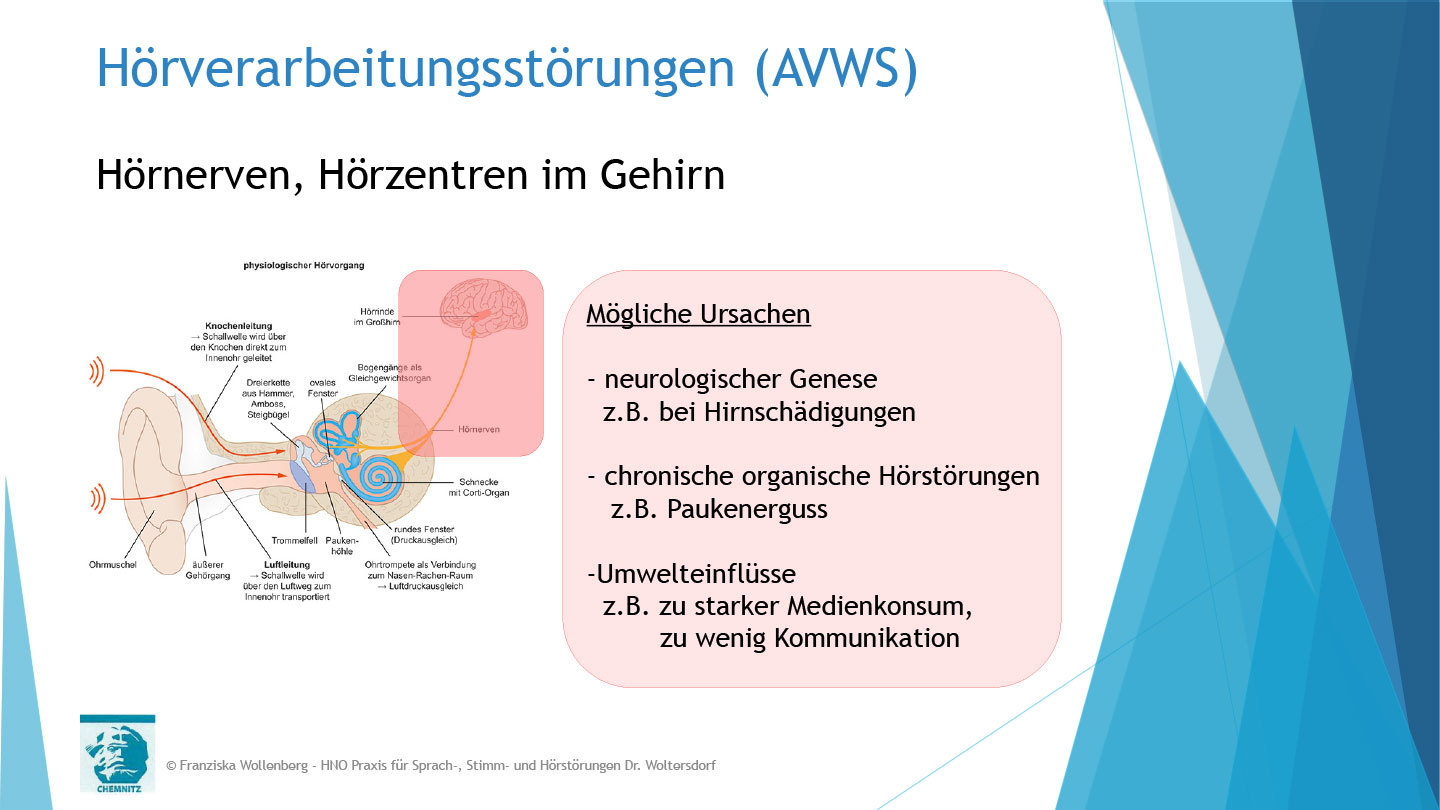 Das Hören . AVWS-Fachvortrag . Franziska Wollenberg