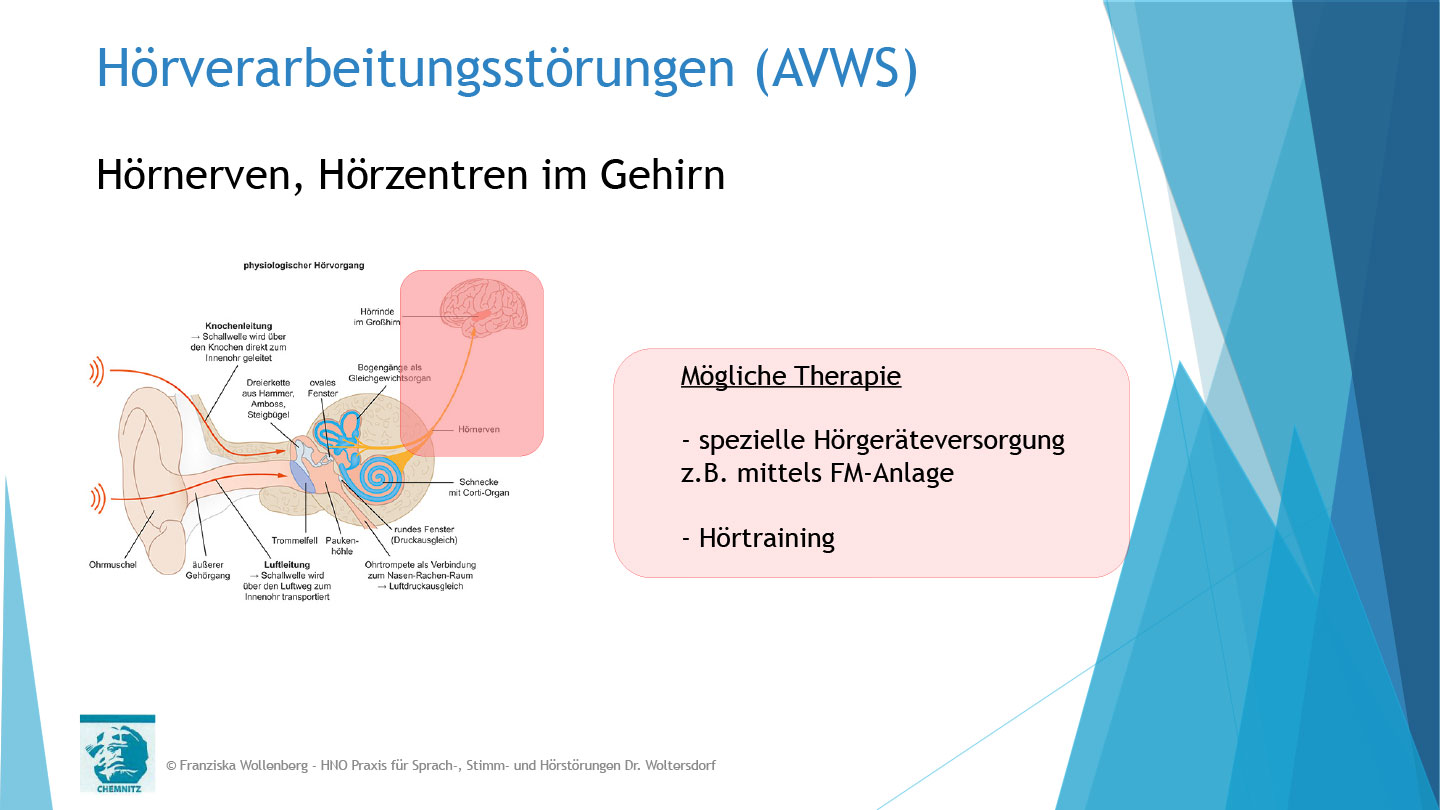 Das Hören . AVWS-Fachvortrag . Franziska Wollenberg