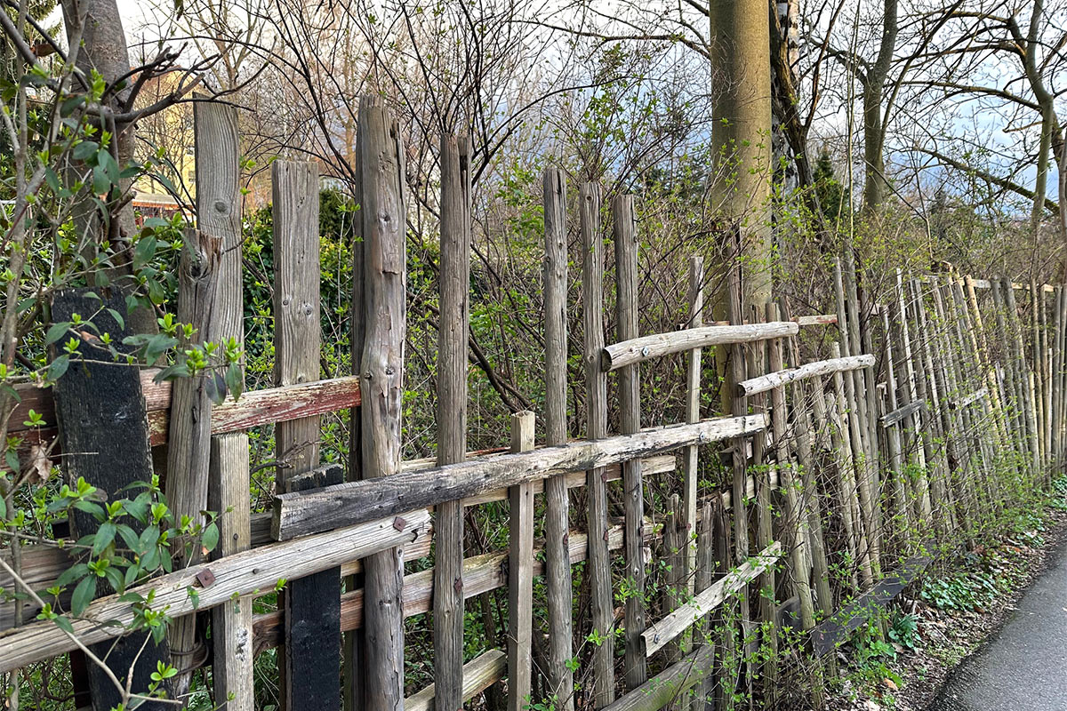 Chemnitz (Foto: Wieland Woltersdorf, 2024)