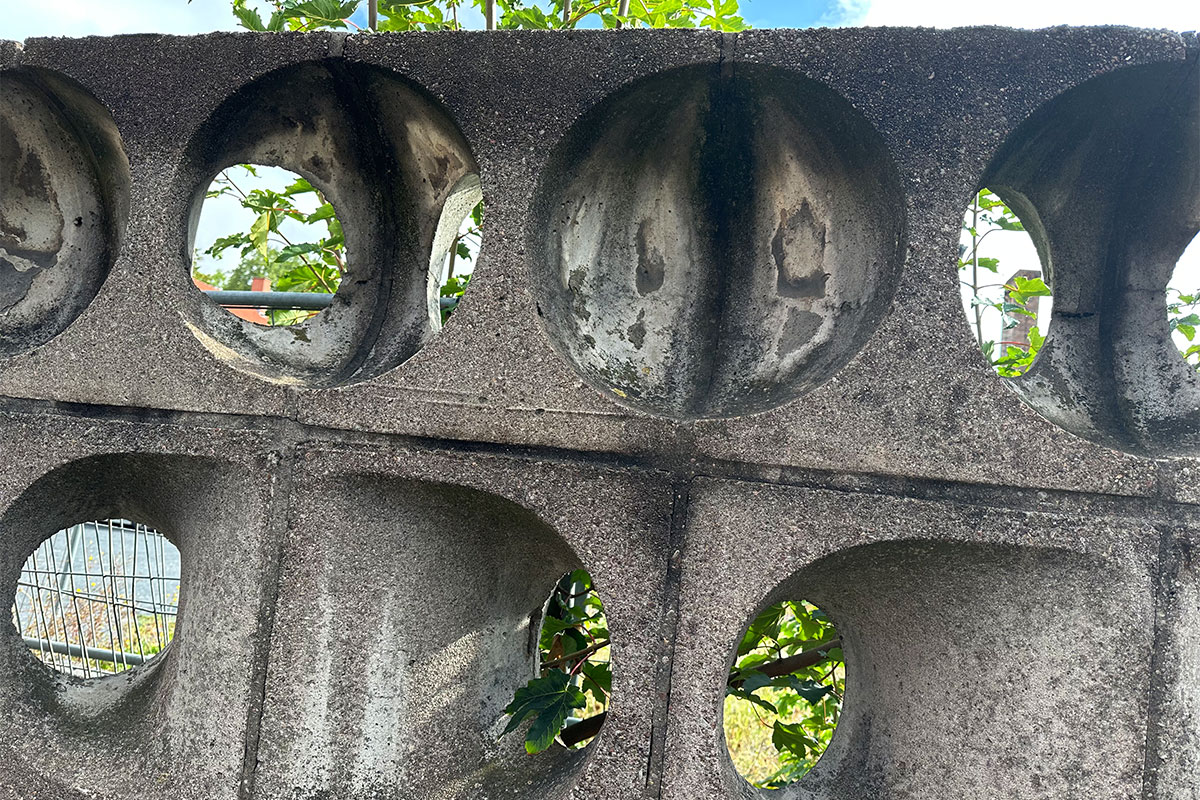 Chemnitz (Foto: Wieland Woltersdorf, 2025)